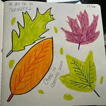 Mi proyecto del curso: Diario ilustrado: una práctica diaria y consciente. Fine Arts, Sketching, Creativit, Drawing, and Sketchbook project by Paulina - 09.22.2024