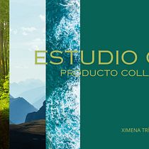 Mi proyecto del curso: Introducción al diseño CMF: color, material y acabado Ein Projekt aus dem Bereich Industriedesign und Produktdesign von ximenatriasarte - 03.09.2024