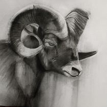 Mi proyecto del curso: Dibujo expresivo con carboncillo Ein Projekt aus dem Bereich Zeichnung, Bildende Künste, Porträtzeichnung und Naturalistische Illustration von eduafuert - 08.09.2024