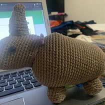 Mi proyecto del curso: Diseño y creación de amigurumis. Projekt z dziedziny Craft, Projektowanie zabawek, DIY,  Tkactwo, Sz, dełkowanie, Amigurumi, Wzornictwo tekst i liów użytkownika Diana Cortes - 16.09.2024