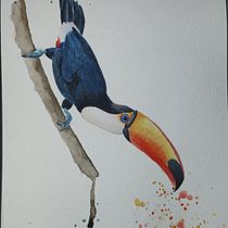 Meu projeto do curso: Técnicas expressivas de aquarela para ilustração de pássaros. Traditional illustration, Watercolor Painting, Realistic Drawing, and Naturalistic Illustration project by asafejesse - 09.17.2024