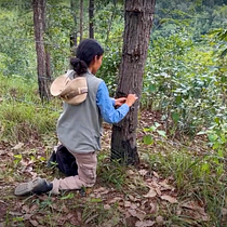 La ruta del Jaguar en Jaleaca de Catalán. Pós-produção fotográfica, Edição de vídeo, Pós-produção audiovisual, e Vídeo projeto de pasiondeportivagro - 05.09.2024