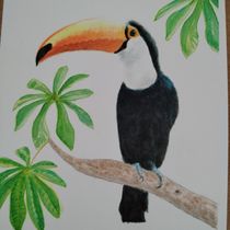 Mi proyecto del curso: Acuarelas: arte realista de aves y naturaleza. Un proyecto de Dibujo, Bellas Artes, Ilustración naturalista				, Dibujo a lápiz, Dibujo realista y Pintura a la acuarela de stefania.emiliani - 20.09.2024