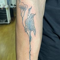 Meu projeto do curso: Tatuagem botânica com pontilhismo Ein Projekt aus dem Bereich Tattoodesign, Traditionelle Illustration und Botanische Illustration von Viviane Santos - 22.09.2024