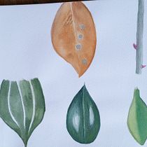 Mi proyecto del curso: Ilustración botánica con acuarela. Fine Arts, Drawing, Traditional illustration, Painting, Watercolor Painting, and Botanical Illustration project by yleanak_1 - 09.24.2024