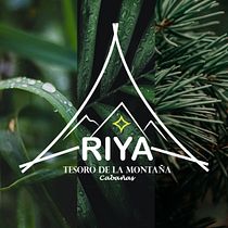 Mi proyecto del curso: Principios de conceptualización y branding Ein Projekt aus dem Bereich Br, ing und Identität, Grafikdesign und Logodesign von natha_zea03 - 26.09.2024