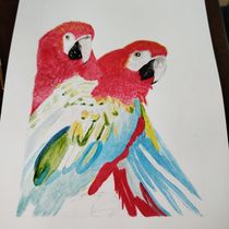 Mi proyecto del curso: Acuarelas: arte realista de aves y naturaleza. Un proyecto de Dibujo, Bellas Artes, Ilustración naturalista				, Dibujo a lápiz, Dibujo realista y Pintura a la acuarela de Mónica María Acosta Pulgarin - 26.09.2024