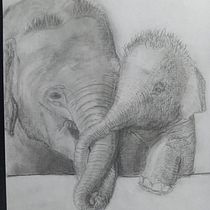 Mein Abschlussprojekt für den Kurs: Realistische Tierbilder in Graphitstift. Un projet de Dessin, Beaux Arts, Illustration naturaliste, Dessin au cra, on , et Dessin réaliste de moya_ayana - 28.09.2024