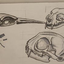 Mein Abschlussprojekt für den Kurs: Tägliches Sketching für kreative Inspiration. Sketching, Creativit, Drawing, Traditional illustration, and Sketchbook project by jawi-90 - 09.29.2024