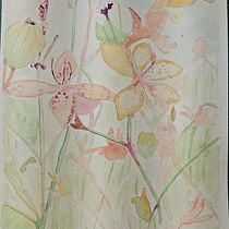 Meu projeto do curso: Desenho e composição naturalista em aquarela. Drawing, Traditional illustration, Naturalistic Illustration, and Watercolor Painting project by dnacaofreitas - 09.29.2024