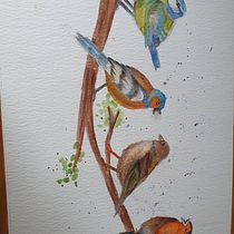 My project for course: Artistic Watercolor Techniques for Illustrating Birds. Traditional illustration, Watercolor Painting, Realistic Drawing, and Naturalistic Illustration project by Suzanne Martin - 09.30.2024