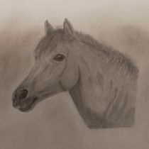 My project for course: Realistic Wildlife Images in Graphite Pencil. Un projet de Dessin, Beaux Arts, Illustration naturaliste, Dessin au cra, on , et Dessin réaliste de Margaret Fraser - 01.10.2024