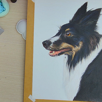 My project for course: Pet Portraits in Colored Pencils. Traditional illustration, and Naturalistic Illustration project by azura_botanica - 09.26.2024