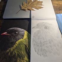 Meu projeto do curso: Desenho naturalista de animais com lápis grafite. Drawing, Traditional illustration, Naturalistic Illustration, and Pencil Drawing project by Thayane Calazans de Lima - 10.02.2024