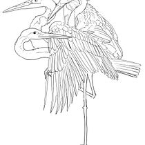 Mi proyecto del curso: Técnicas de tatuaje blackwork con línea fina. Un progetto di Design di tatuaggi di Fabiola Plaza - 03.10.2024