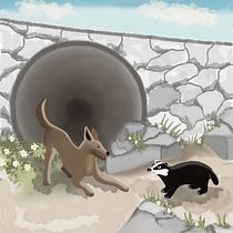 Mi proyecto del curso: Ilustración digital para cuentos infantiles. Aventuras de un coyote y un tejón . Ilustração tradicional, Desenho, Ilustração digital, Ilustração infantil, Desenho digital, Pintura digital, e Narrativa projeto de Ivette Castillejo - 25.09.2024