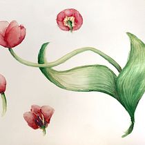 Mi proyecto del curso: Ilustración botánica con acuarela. Fine Arts, Drawing, Traditional illustration, Painting, Watercolor Painting, and Botanical Illustration project by Florentina Pérez - 10.05.2024