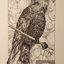 Il mio progetto del corso: Illustrazione realistica di uccelli con elementi di fantasia. Un proyecto de Dibujo, Ilustración con tinta, Ilustración naturalista				 y Dibujo a lápiz de MARTA USAI - 09.10.2024