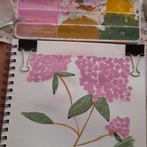 Hydrangea - My project for course: Botanical Illustration with Watercolors. Fine Arts, Drawing, Traditional illustration, Painting, Watercolor Painting, and Botanical Illustration project by Silvia Belo Oliveira - 10.15.2024
