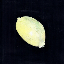 Mój projekt z kursu: Akwarela botaniczna: piękno sztuki i nauki. Un progetto di Illustrazione botanica, Disegno, Belle arti, Illustrazione tradizionale, Pittura e Pittura ad acquerello di aglena0201 - 15.10.2024