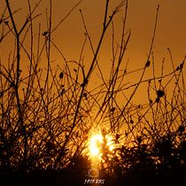 My project for course: Beginner’s Photography: Basic Camera Use and Theory. Photographic Composition, Photograph, and Digital Photograph project by Adriana Costa - 10.10.2024