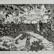 My project for course: Dip Pen and Ink Illustration: Capturing The Natural World. Artistic Drawing, Drawing, Ink Illustration, Naturalistic Illustration, Sketchbook, and Sketching project by staceywright2009 - 10.20.2024