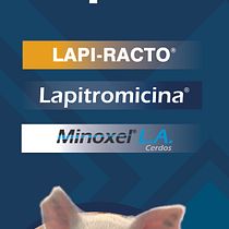Creación de contenidos con IA. Un projet de Intelligence Artificielle , et Création de Contenu avec IA de alexis310890 - 19.10.2024