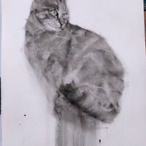 Il mio progetto del corso: Disegno espressivo al carboncino Ein Projekt aus dem Bereich Zeichnung, Bildende Künste, Porträtzeichnung und Naturalistische Illustration von valeria_b - 22.10.2024