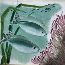 Il mio progetto del corso: Illustrazione di universi marini ad acquerello. Un projet de Illustration traditionnelle, Illustration naturaliste, Peinture , et Aquarelle de Adele - 22.10.2024
