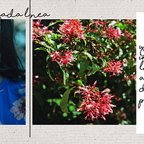 Esa delgada línea. La mujer y el poema. . Digital Photograph, Fine-Art Photograph, Self-Portrait Photograph, and Creative Writing project by DC Gutiérrez - 10.23.2024