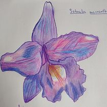 Mi proyecto del curso: Cuaderno de viaje ilustrado: registra la naturaleza. Un proyecto de Dibujo, Ilustración naturalista				, Dibujo a lápiz, Sketchbook y Pintura a la acuarela de Emilio Brizar - 03.05.2015