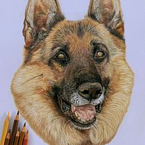 Il mio progetto del corso: Ritratto di animali da compagnia con matite colorate. Traditional illustration, and Naturalistic Illustration project by Valentina Manfredini - 10.25.2024