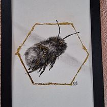 My project for course: Illustrating the Natural World with Watercolor and Charcoal Ein Projekt aus dem Bereich Traditionelle Illustration, Naturalistische Illustration und Malerei von Ramona Cameron - 18.12.2024