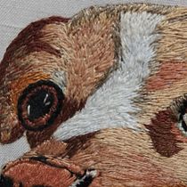 Mi proyecto del curso: Needle painting para principiantes. Un progetto di Ricamo, Illustrazione naturalistica e Textile Design di Facundo Tapia - 24.10.2024