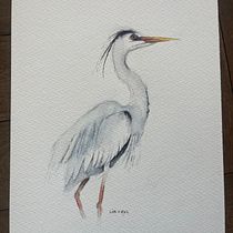 My project for course: Naturalist Watercolor with Expression and Personality. Traditional illustration, Naturalistic Illustration, and Watercolor Painting project by Lisi Van Zyl - 10.28.2024