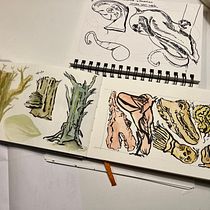 My project for course: Daily Sketching for Creative Inspiration. Projekt z dziedziny Sketching, Kreat, wność,  R, sunek, Trad, c, jna ilustracja i Sketchbook użytkownika victoria_wooster - 30.10.2024