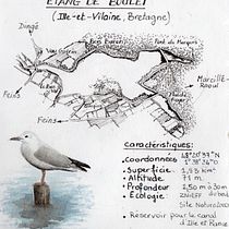 Mon projet du cours : Carnet de voyage à l’aquarelle. Traditional illustration, Architectural Illustration, Watercolor Painting, and Sketchbook project by Claire Poyet - 10.31.2024