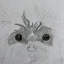 My project for course: Pet Portraits in Colored Pencils. Traditional illustration, and Naturalistic Illustration project by Martha - 11.12.2024