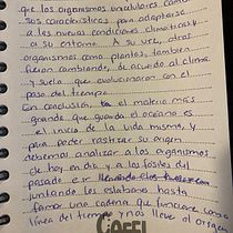 Mi proyecto del curso: El misterio de los océanos Ein Projekt aus dem Bereich Kreatives Schreiben, Kreativität, Erzählung, Stor, telling und Schrift von Alejandra Rodríguez Estrella - 06.11.2024