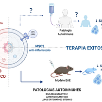 Identificación de Biomarcadores para Células Madre Mesenquimales. Un projet de Conseil créatif, Gestion de la conception, Intelligence Artificielle, ChatGPT, Business , et Gestion et productivité de MONICA KURTE - 07.11.2024