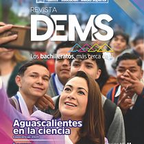 Revista DEMS_domestika. Un proyecto de Dirección de arte, Comunicación, Diseño editorial, Diseño gráfico y Diseño de la información de Daniel Ponce - 09.11.2024