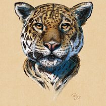 Ilustración Iluninada del curso: Ilustración naturalista de animales con Procreate Ein Projekt aus dem Bereich Realistische Zeichnung, Traditionelle Illustration, Digitale Illustration und Naturalistische Illustration von pencilcjp - 14.11.2024
