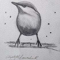 Mi proyecto del curso: Acuarela artística para ilustración de aves. Traditional illustration, Watercolor Painting, Realistic Drawing, and Naturalistic Illustration project by Elizabeth Larroche Rengifo - 11.17.2024