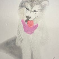 balialaskanmalamute ☺️☺️. Traditional illustration, and Naturalistic Illustration project by David Blanco Vargas - 11.18.2024