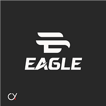 "Eagle" car branding. Br, ing, Identit, Design, Logo Design, and Graphic Design project by Şəmistan Yusifov - 11.18.2024