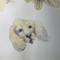 My project for course: Sketchbook Illustration with Pen: Embracing Mistakes. Desenho, Ilustração com tinta, Sketchbook, e Esboçado projeto de Tatiana - 20.11.2024