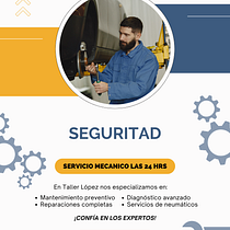 Mi proyecto del curso: Estrategias de marketing basadas en data. Digital Marketing, Growth Marketing, and Marketing project by Carolina Arellano - 11.21.2024