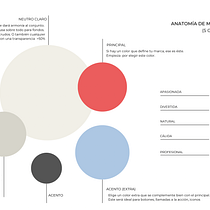Mi proyecto del curso: Diseño de feed de Instagram con Canva. Un projet de Conception numérique, Design graphique, Instagram, Marketing , et Réseaux sociaux de anna_rafart11 - 25.11.2024