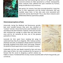 Mi proyecto del curso: La ciencia de la escritura: narra lo que te apasiona Ein Projekt aus dem Bereich Content Writing von Luis Muñoz - 23.11.2024
