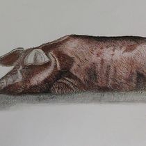 Mijn project van de cursus: Leer realistische dieren tekenen met grafietpotlood. Drawing, Traditional illustration, Naturalistic Illustration, and Pencil Drawing project by patricia71temmerman - 11.23.2024